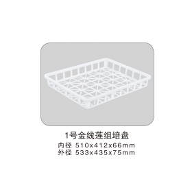 1號金線(xiàn)蓮組培盤(pán)